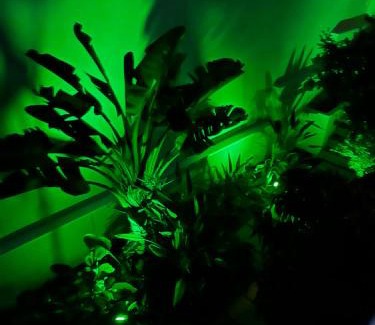 Los Secanos Villa | Villa Marjal