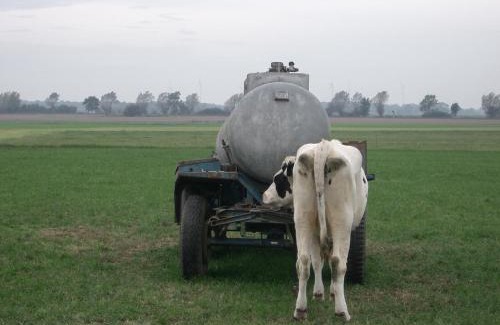 Bantikow Hotel | Villa-Meehr