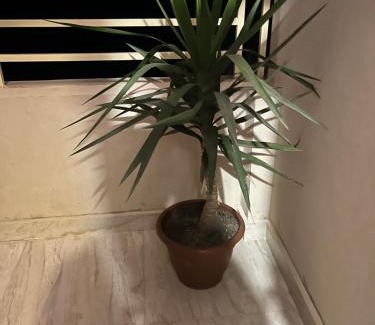 El Quseir Apartment | Villa Muhammad