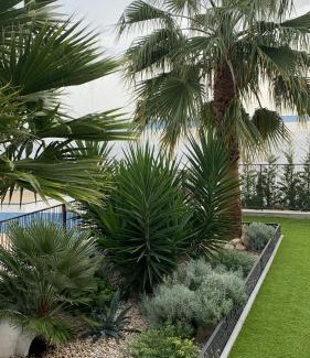 Businci Apartment | Villa Night Pearl