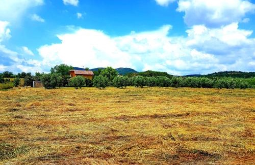 Musignano House | Villa Oliva