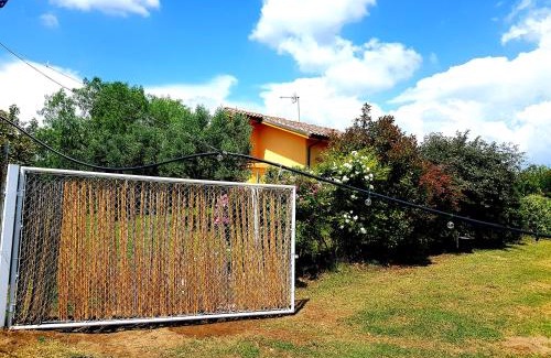 Musignano House | Villa Oliva