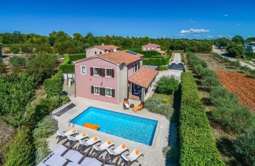 Stokovci Villa | Villa Olive Tree by Villa Plus