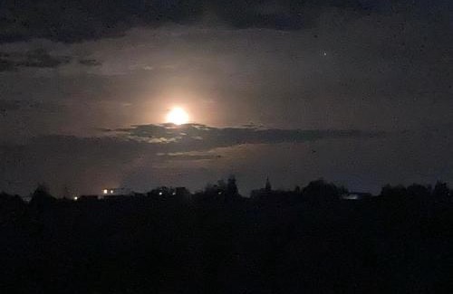 Issen House | Villa piscine FaceBio