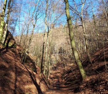 Eisenach Apartment | Villa Sängerstein