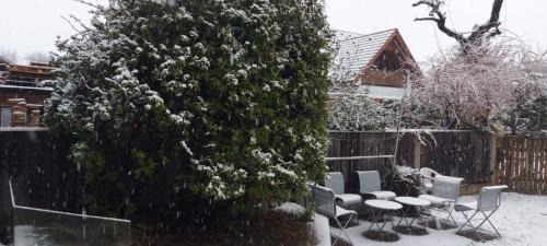 Wiener Neudorf Apartment | Villa SCS Nähe