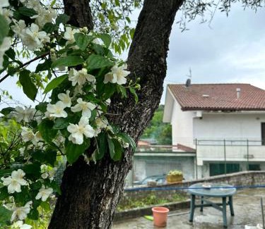 Macchia d'Isernia Apartment | Villa Soppena: casa in montagna nella neve