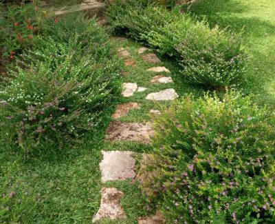 Bangunjiwo Villa | Villa Sunset Jogjakarta