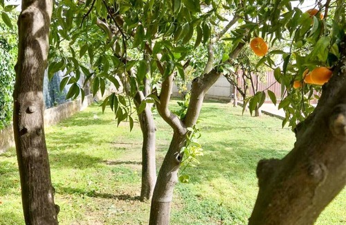 Eboli Apartment | Villa the Scent of Oranges