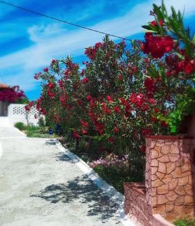 Kato Samiko Villa | Villa Thea