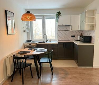 Myslenice Apartment | Villa Vincentów