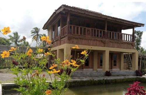 Batukliang Bed & Breakfast | Village house Lombok