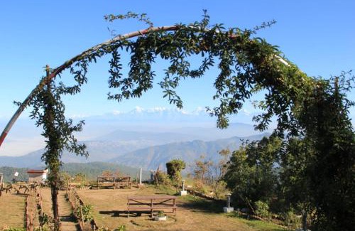 Mukteshwar House | Vineet Homestay
