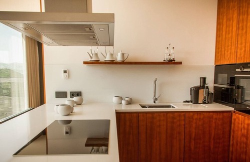 Bomfim Villa | Vineyard Home Flying High over the Douro River