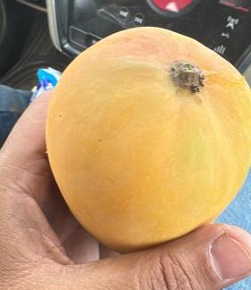 Ismailia Villa | VIP villa Ali