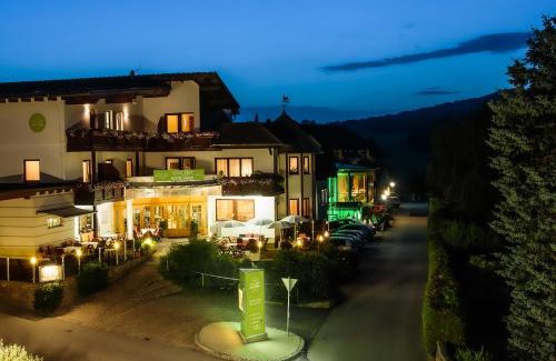 Bad Schonau Hotel | VitalZeit Hotel Weber