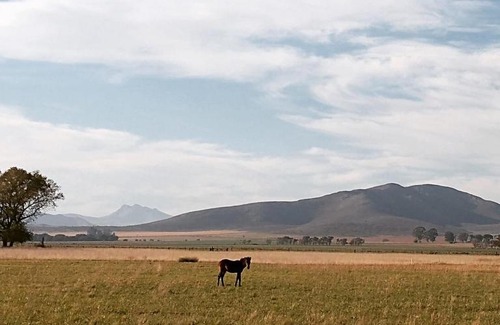 Villa Ventana Villa | Vittorio, en Llohue
