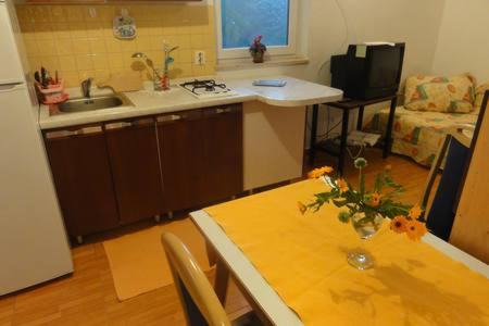 Miholascica Apartment | Vlado