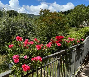 Cetica House | Voce del Casentino