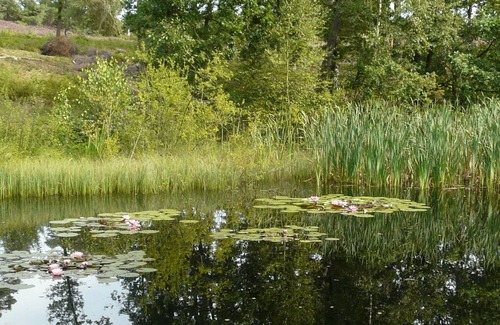 Holm-Seppensen House | Vrbo Property