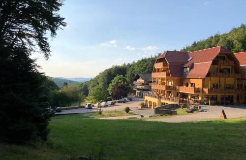 Dammbach Hotel | Wald-Hotel Heppe