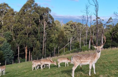 Rawson House | Wally's Edge 20acre Farm Stay