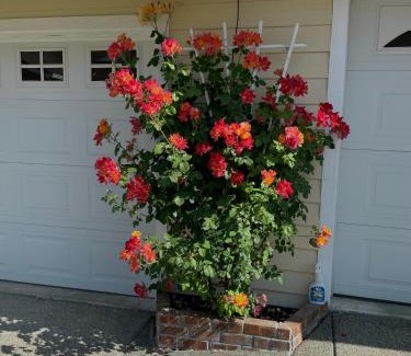 Grants Pass House | Warm and Inviting