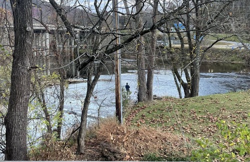 Dillsboro Cabin | Water's Edge Cabin -- waterfront cabin within walking distance to Dillsboro, NC