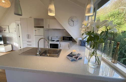 Dunedin Apartment | Waterfront 2-bedroom apartment with AC in Dunedin