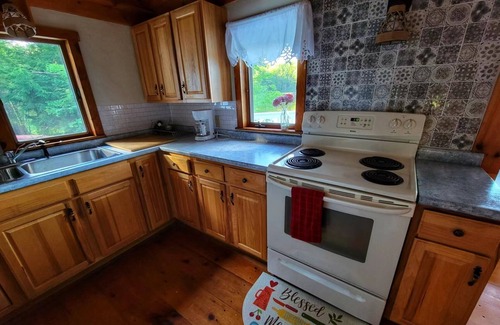 Springfield Cabin | Waterfront Ski Resort Cottage, Arcade Game, Winter Sanctuary