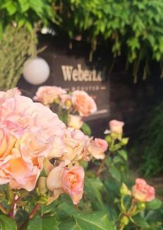 Munster Apartment | Weberhof - Münster 5