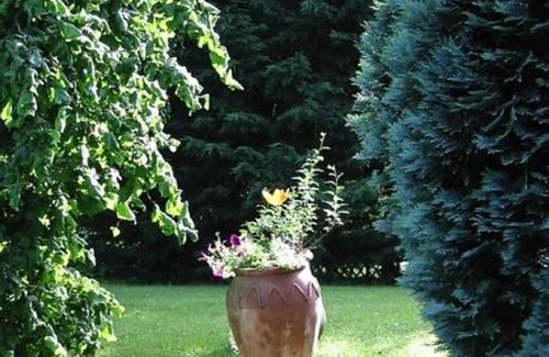 Schoenecken Apartment | Weekend offer (Friday - Monday) Apartment - Feriendorf Reinskopf