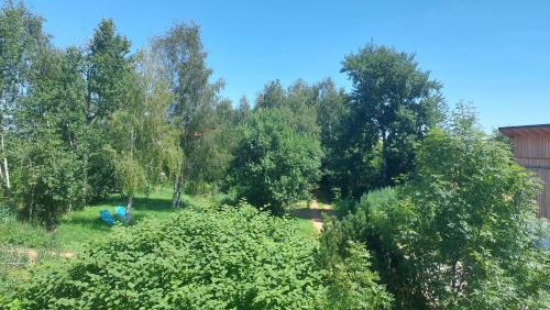 Goepfritz an der Wild Apartment | Wegwartehof