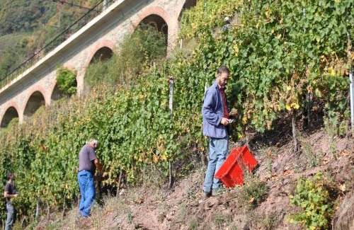 Punderich House | Wein & Wohngut Paulushof