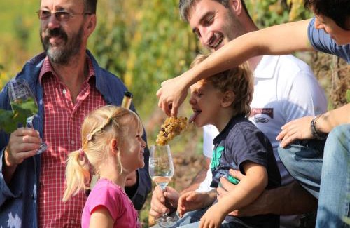 Punderich House | Wein & Wohngut Paulushof