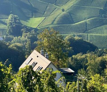 Gamlitz House | Weingartenhaus Eckberg41