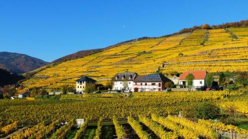 Spitz House | Weingut Donabaum "In der Spitz"