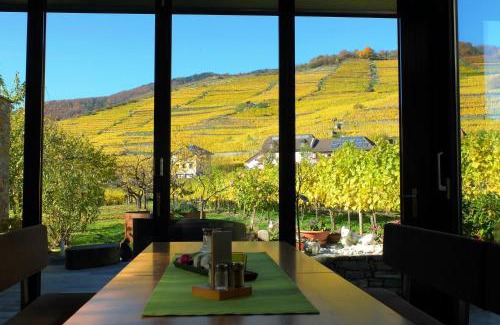 Spitz House | Weingut Donabaum "In der Spitz"