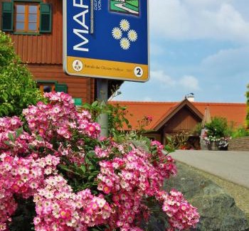 Glanz an der Weinstrasse Apartment | Weingut- Gästezimmer Marko