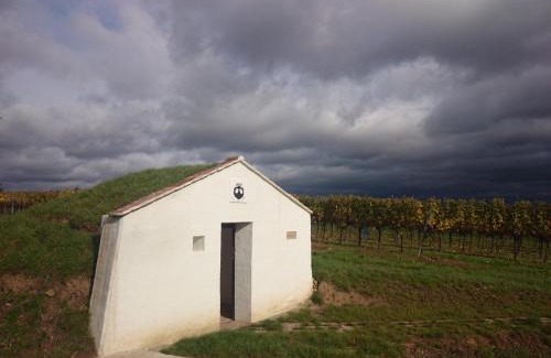 Pulkau House | Weingut Wagner