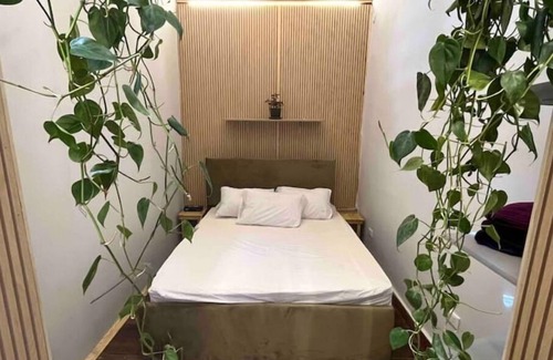 Garden City Apartment | Welcome to The Greenhouse