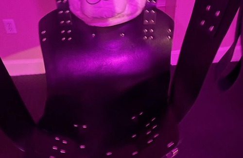 York Apartment | Welcome to the only Adult Playhouse catering to all lifestyles.