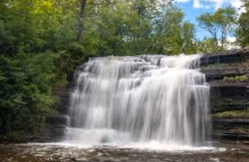 Blossvale Cabin | Welcoming and Spacious Cabin!