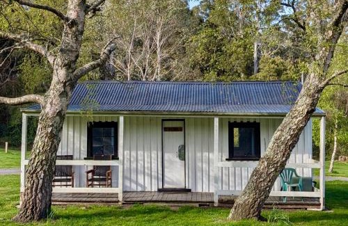 Weldborough Hotel | Weldborough Hotel