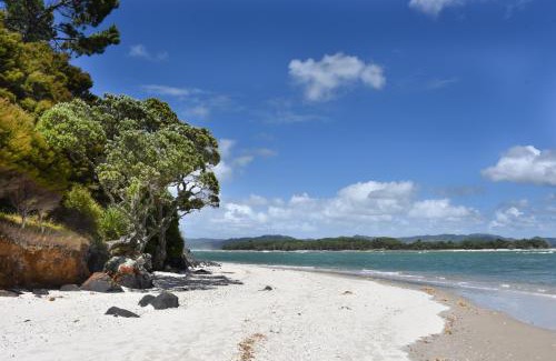 Whangapoua House | Whangapoua waves