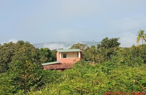 Tural Villa | Whistling farms Home Stay