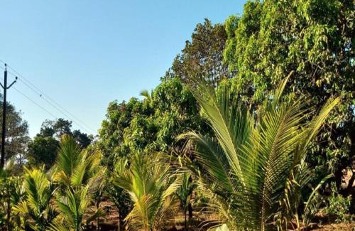 Tural Villa | Whistling farms Home Stay