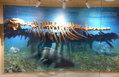 Bawati Other | White Desert Egypt Tours