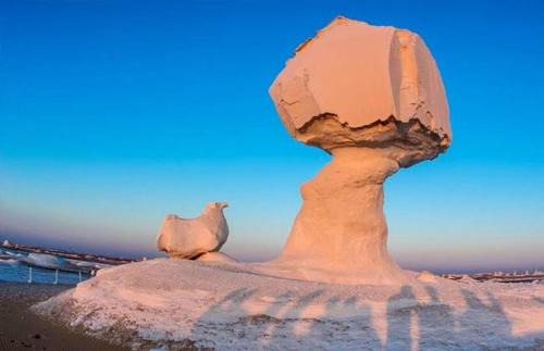 Bawati Other | White Desert Safari With Camping