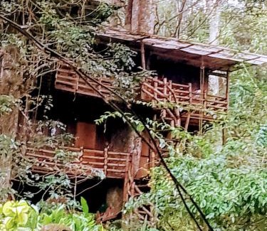 Kunchithanny House | Whitetea Estatehouse Tree House